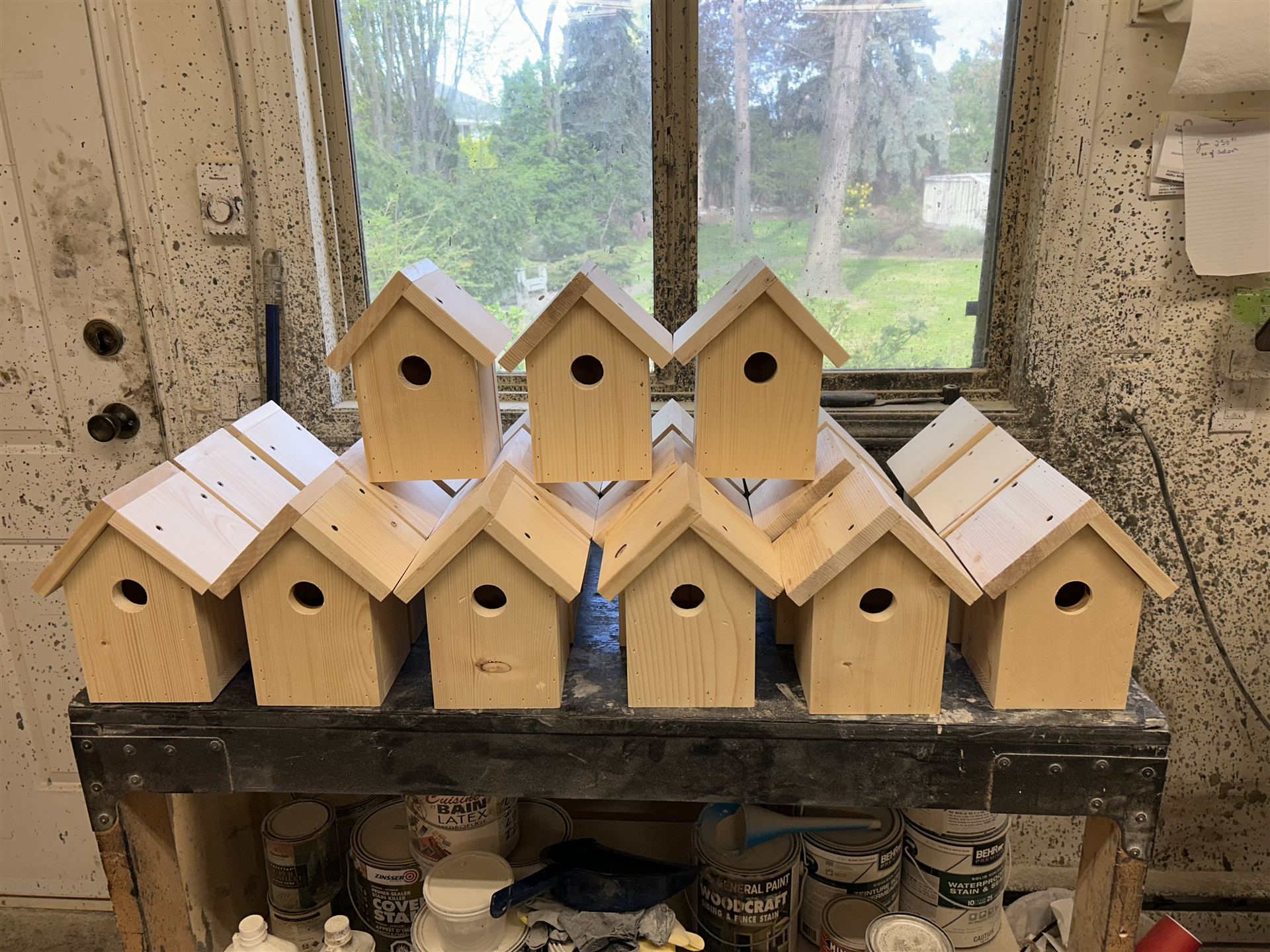 Batch of pine birdhouses lined up in the shop